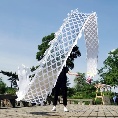 HYQING Dragon Poi White Dance Dragon Poi Set, seidenartiges Dragon Dance Spinning Ribbon mit Drachenkopf, Outdoor Sports Dragon Streamer for Jonglieren/Fitness(6 m (20 ft)) von HYQING