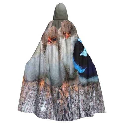 HYSDPUZK Halloween-Kapuzenumhang für Unisex-Erwachsene, lustiger Vier-Vogel-Druck, Party- und Cosplay-Umhang von HYSDPUZK