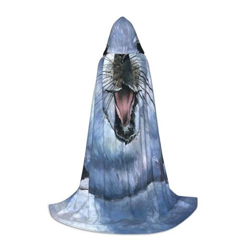 HYSDPUZK Harfen-Siegelmalerei-Tapete, Kapuzenumhang für Teenager, Halloween-Kostüm, Cosplay, Maskerade, Zauberer-Robe HYSDPUZK Harfen-Siegelmalerei-Tapete, Kapuzenumhang für Teenager, Halloween-Kostüm, Cosplay, Maskerade, Zauberer-Robe von HYSDPUZK