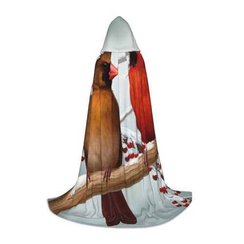 HYSDPUZK Kapuzenumhang mit Vögeln für Teenager, Halloween-Kostüm, Cosplay, Maskerade, Zauberer-Robe von HYSDPUZK
