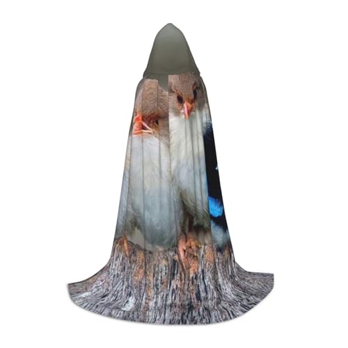HYSDPUZK Kapuzenumhang mit vier Vögeln für Teenager, Halloween-Kostüm, Cosplay, Maskerade, Zauberer-Robe HYSDPUZK Kapuzenumhang mit vier Vögeln für Teenager, Halloween-Kostüm, Cosplay, Maskerade, Zauberer-Robe von HYSDPUZK