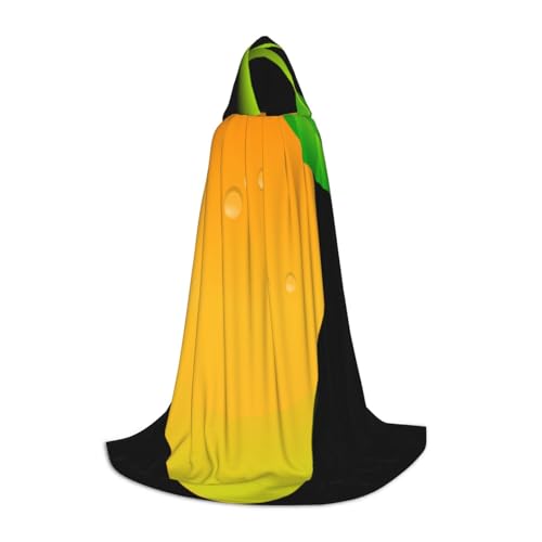 HYSDPUZK Mango Kapuzenumhang für Teenager, Halloween-Kostüm, Cosplay, Maskerade, Zauberer-Robe von HYSDPUZK