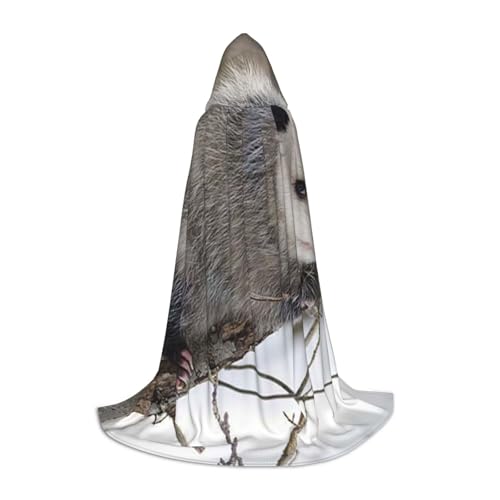 HYSDPUZK Opossum im Schnee Kapuzenumhang für Teenager, Halloween-Kostüm, Cosplay, Maskerade, Zaubererrobe HYSDPUZK Opossum im Schnee Kapuzenumhang für Teenager, Halloween-Kostüm, Cosplay, Maskerade, Zaubererrobe von HYSDPUZK