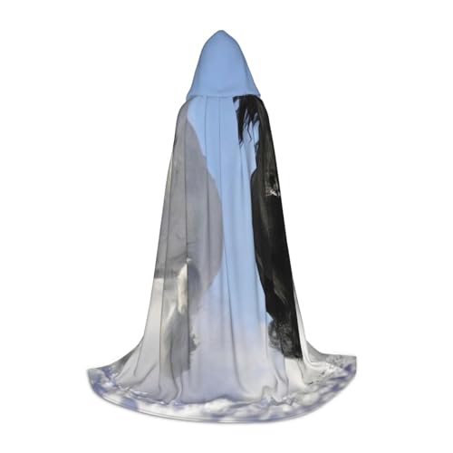 HYSDPUZK Schwarzer und weißer Pferdeumhang mit Kapuze für Teenager, Halloween-Kostüm, Cosplay, Maskerade, Zauberer-Robe von HYSDPUZK