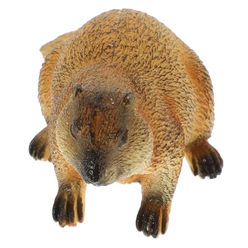 HYTROVE Simulation Erdmännchen Figurine Realistisches Tierornament Für Dekoration Und Bildung Für Wohnzimmer Kindergarten Und Schreibtisch Lebendige Erdmännchen Statue Als Spielzeug HYTROVE Simulation Erdmännchen Figurine Realistisches Tierornament Für Dekoration Und Bildung Für Wohnzimmer Kindergarten Und Schreibtisch Lebendige Erdmännchen Statue Als Spielzeug von HYTROVE