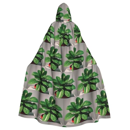 HYTTER Halloween-Poncho mit Kapuze, für Erwachsene, Party-Dekoration, Party, Karneval, Kostüm, pflegeleicht, langlebig von HYTTER