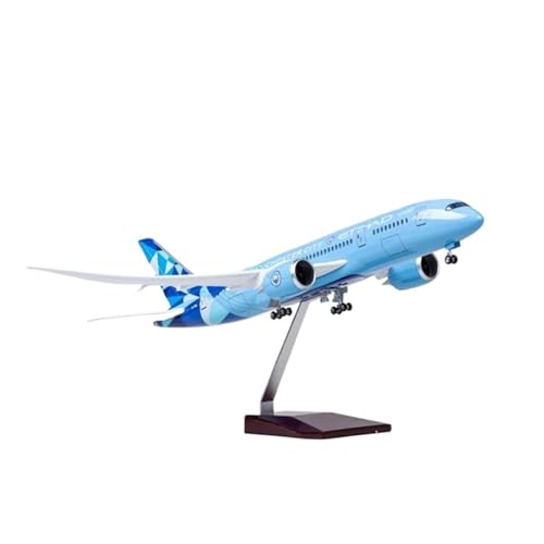 HYTTER Maßstab 1:130, 43 cm, für B787 Replika-Flugzeugmodell, Miniatur-Desktop-Display, einfach zu montierendes Kunststoffharz-Simulationsflugzeug von HYTTER