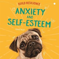 Build Resilience: Anxiety and Self-Esteem von Hachette Books Ireland