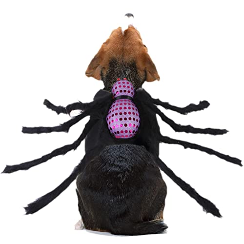 Hagar Haustier-Spinnen-Kostüm, Lustiges Haustier-Spinnen-Kostü, Horror Hund Katze Spinnenkostüme, lustiges Spinnenkostü für kleine Hündchen von Hagar