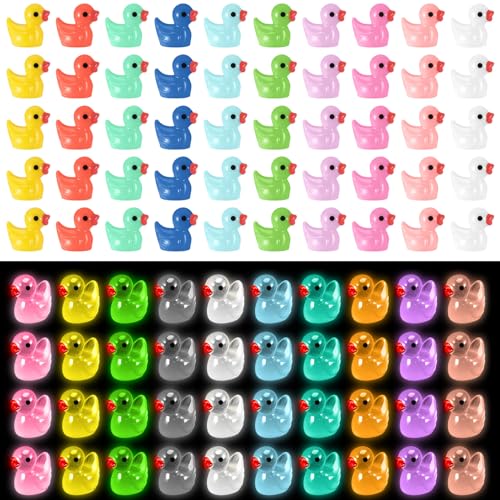 Halinuia 200 Stück Mini Enten Harz 20 Stile Kleine Enten Mini Leuchtend Duck Figuren Kleine Bunte Enten für Aquarium Garten Landschaft Puppenhaus Topfdekorationen zum Selbermachen von Halinuia