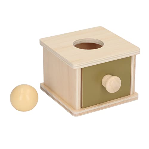 Hamwesh Montessori Toys Holzform Sorter -Farb -Matching Spielzeug für Kleinkind mit Sicherem Schubladen Design für Kind 6 Bis 12 Monate Baby 1 2 3 Jahre Alte Babys (Pitching-Box) von Hamwesh
