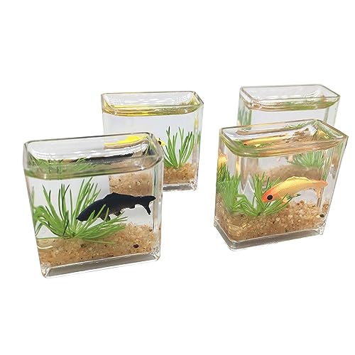 Winziges Glasfisch-Aquarium, zartes Modell, Zubehör für Puppenhaus-Sammler, Miniatur-Szene, Simulation, kleines Ornament Winziges Glasfisch-Aquarium, zartes Modell, Zubehör für Puppenhaus-Sammler, Miniatur-Szene, Simulation, kleines Ornament von Hangsu