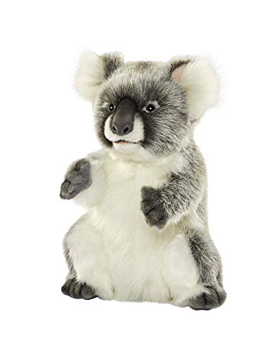Hansa – Plüschtier Koala 26 CMH (ersetzt 6298) von Hansa