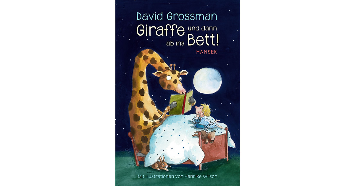 Buch - Giraffe und dann ab ins Bett! Buch - Giraffe und dann ab ins Bett! von Hanser Verlag