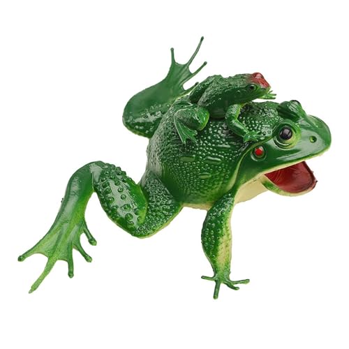 Haofy Froschmodell Spielzeug Realistischer Klang Mutter und Frosch Gefälschter Frosch für Aquarium Rep Plastik Haofy Froschmodell Spielzeug Realistischer Klang Mutter und Frosch Gefälschter Frosch für Aquarium Rep Plastik von Haofy