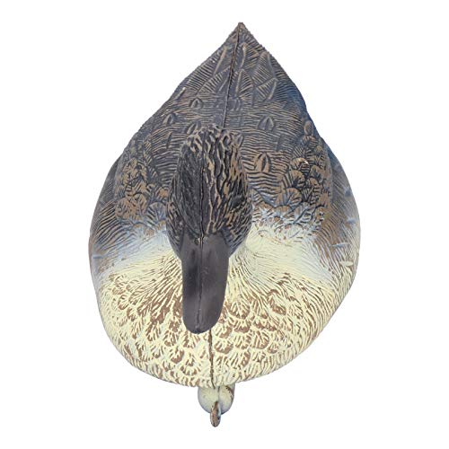 Haofy Lifelike Plastic Duck Decoration 34,5 X 13 cm Weibliche Entenstatue für Garten Teich Fischteich Poolköder mit Sonnensicherem Verschleiß Resistentem Material Haofy Lifelike Plastic Duck Decoration 34,5 X 13 cm Weibliche Entenstatue für Garten Teich Fischteich Poolköder mit Sonnensicherem Verschleiß Resistentem Material von Haofy
