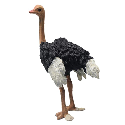 Haofy Lifelike Strauß Figur Spielzeug Wildlife Tiermodell Fördert Kreativität PVC von Haofy