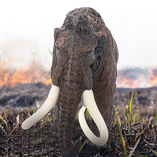 Haofy Tieremodellspielzeug, Realistische Niedliche Statue für, Exquisite Verarbeitung, Simuliertes Tierspielzeug für die Heimdekoration, Material (#1) von Haofy