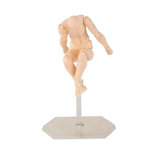 Haofy Zeichnungsaktion Figure Model Movable PVC Weit Verbreitete Mannequin für Malereifotografie -Requisiten (Mann) von Haofy