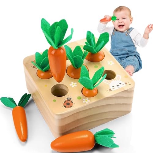 Haoutdory Montessori Holzspielzeug ab 1 Jahr,Sortierspiel Karottenernte,Baby Motorikspielzeug für 6-12 Monate Jungen Mädchen,Lernspielzeug für Kleinkinder.Geschenk für Jungen & Mädchen von Haoutdory
