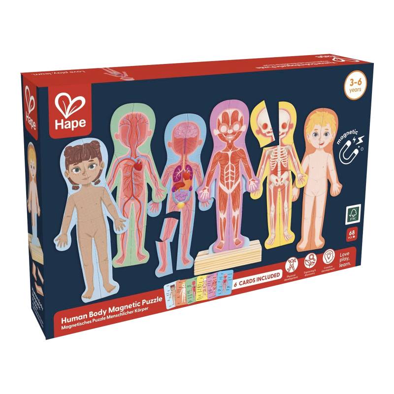 Hape Magnetisches Puzzle - Menschlicher Körper Hape Magnetisches Puzzle - Menschlicher Körper von Hape