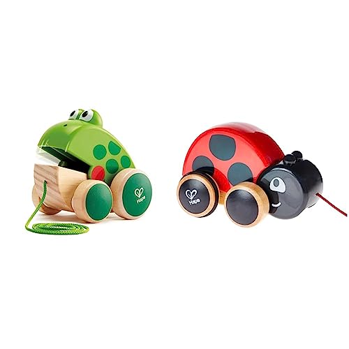 Hape Nachziehfrosch Fridolin von Hape | Holzfrosch Fliegen fressendes Nachzieh-Spielzeug für Kleinkinder, leuchtende Farben & Nachziehkäfer Marie aus Holz, Ziehspielzeug für Kinder ab 12 Monaten Hape Nachziehfrosch Fridolin von Hape | Holzfrosch Fliegen fressendes Nachzieh-Spielzeug für Kleinkinder, leuchtende Farben & Nachziehkäfer Marie aus Holz, Ziehspielzeug für Kinder ab 12 Monaten von Hape