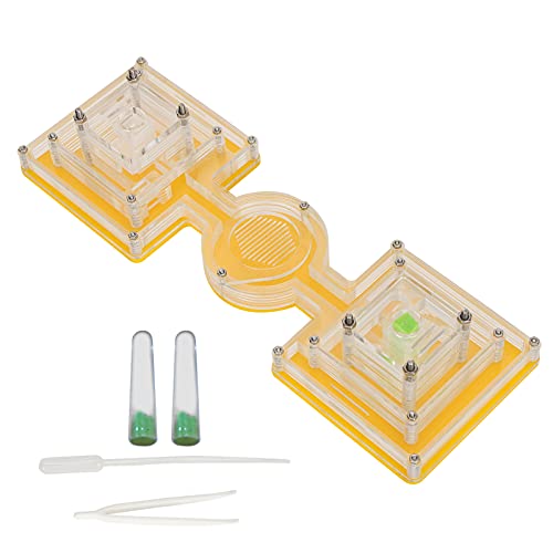 Ameisen Nester Haus Acryl Ant Castle Farm House Feuchtigkeits Spendende Wasser Turm Display Box Studie des Ameisen Berhaltens Ameisennester Farm Pädagogisches Formicarium für Ameisen Ameisen Nester Haus Acryl Ant Castle Farm House Feuchtigkeits Spendende Wasser Turm Display Box Studie des Ameisen Berhaltens Ameisennester Farm Pädagogisches Formicarium für Ameisen von Hapivida