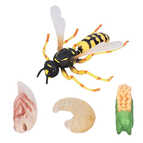 Hapivida Kunststoff Insektenfiguren, Wespenbienen Wachstumszyklus Modell, Lebensecht Biologie Pädagogisches Lernspielzeug, Partybevorzugungen für Kinder 3 4 5 6 7 8 Jahre alt Hapivida Kunststoff Insektenfiguren, Wespenbienen Wachstumszyklus Modell, Lebensecht Biologie Pädagogisches Lernspielzeug, Partybevorzugungen für Kinder 3 4 5 6 7 8 Jahre alt von Hapivida
