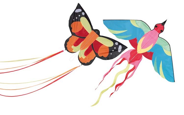 Kinderdrache, Grösse 130 x 160 / 88 x 58 cm Parrot oder Butterfly von Happy People