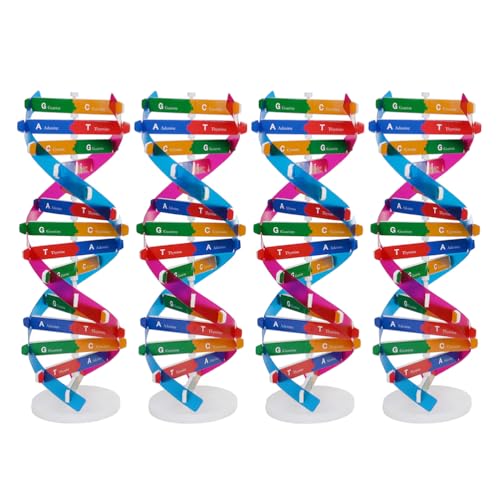 Happyyami 4-teiliges Modell der Molekülstruktur menschlicher Gene, DIY-Doppelhelix-DNA, pädagogisches Lehrspielzeug für den Unterricht in der Schule und zu Hause von Happyyami