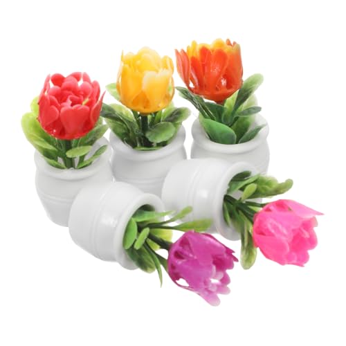 Happyyami 5 Stück Simulation Einer saftigen Topfpflanze Miniatur-Topfpflanzen Miniaturblumenschmuck Mini Plant Bonsai Miniaturpflanzenschmuck Miniaturbonsai -Baum Mini-Topfgrün Abs Happyyami 5 Stück Simulation Einer saftigen Topfpflanze Miniatur-Topfpflanzen Miniaturblumenschmuck Mini Plant Bonsai Miniaturpflanzenschmuck Miniaturbonsai -Baum Mini-Topfgrün Abs von Happyyami