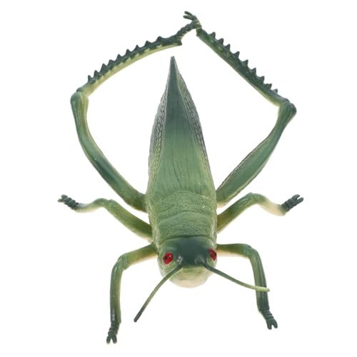 Happyyami Realistisches Heuschrecken Modell Kunststoff Pädagogisches Insekten für Themenpartys Dekoration und Lernspiele Robustes und Einzigartiges Design für Sammler von Happyyami