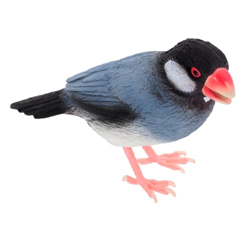 Happyyami Simulationsvogelmodell lernspielzeug Educational Toys Pädagogisches gartendeko rostoptik Papagei Simulationsvogel schmücken simulierter Vogeldekor Vogel-Statue PVC Happyyami Simulationsvogelmodell lernspielzeug Educational Toys Pädagogisches gartendeko rostoptik Papagei Simulationsvogel schmücken simulierter Vogeldekor Vogel-Statue PVC von Happyyami