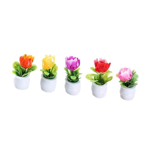Harilla 5 Stück Puppenhaus-Topfpflanzen, Puppenhaus-Pflanze, Miniatur-Bonsai-Pflanze, Mini-Topfpflanze, Blumenmodell für 1:12 Puppenhaus von Harilla