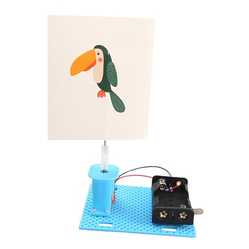 Harilla DIY Wissenschaftliche Experimente Elektrischer Käfig Vogel Feinmotorik Sensorisches Spielzeug Spielmodell für Club Haushalt Wohnheim Wohnzimmer von Harilla