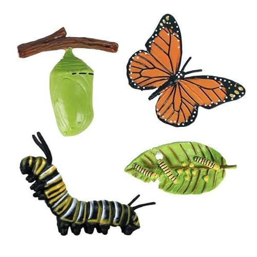 Harilla Entdecke die faszinierende Welt der Schmetterlinge - spielerische Kindererziehung, Papillon, 10 STK von Harilla