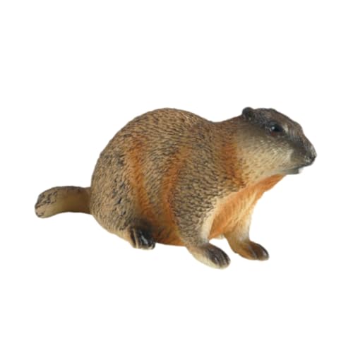 Harilla Groundhog Model Figur Tiermodell Spielset Lifelike Home Decor Bastel, Hocken Harilla Groundhog Model Figur Tiermodell Spielset Lifelike Home Decor Bastel, Hocken von Harilla