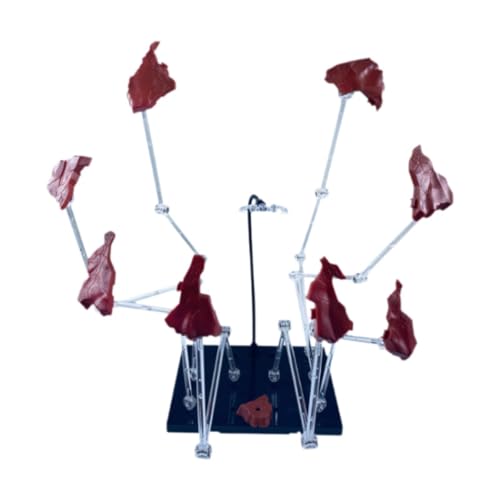 Harilla Modell-Actionfigurenständer mit Flying Rock-Effekt-, Stabiler Stützhalter für Puppenmodelle, dekorative Hobby-Action-Basis, Rot von Harilla