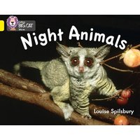 Night Animals von HarperCollins