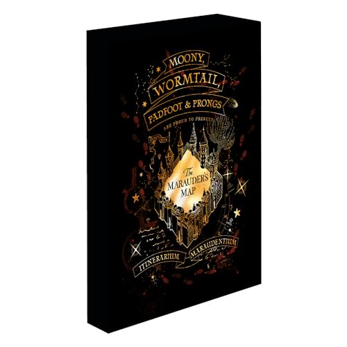 Harry Potter - Leinwand mit Beleuchtung, 30 x 40 cm, Marauders Karte Harry Potter - Leinwand mit Beleuchtung, 30 x 40 cm, Marauders Karte von Harry Potter