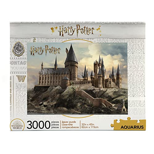 Harry Potter 68510 Hogwarts Harry Puzzle, Mehrfarbig von AQUARIUS