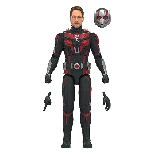 Hasbro Marvel Legends Series Ant-Man, Ant-Man and The Wasp: Quantumania Marvel Legends Action-Figur, 15 cm von Marvel