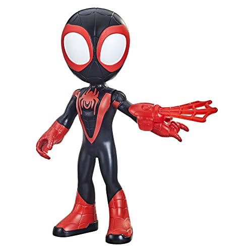 Spidey and his Amazing Friends Spider-Man Hasbro Marvel Supersized Miles Morales Action Figure, Preschool Toy for Age 3 and Up Spidey and his Amazing Friends Spider-Man Hasbro Marvel Supersized Miles Morales Action Figure, Preschool Toy for Age 3 and Up von Spidey and his Amazing Friends