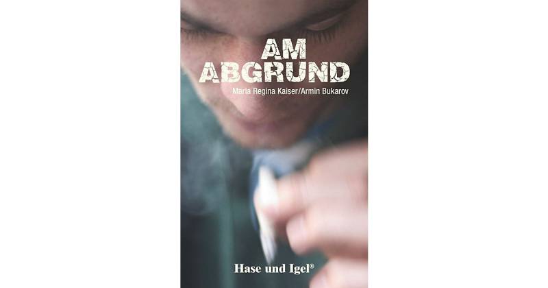 Buch - Am Abgrund, Schulausgabe von Hase und Igel Verlag
