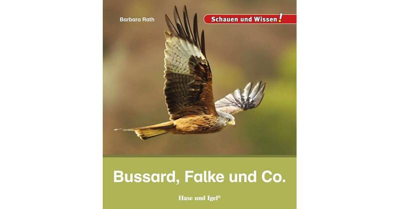 Buch - Bussard, Falke und Co. von Hase und Igel Verlag