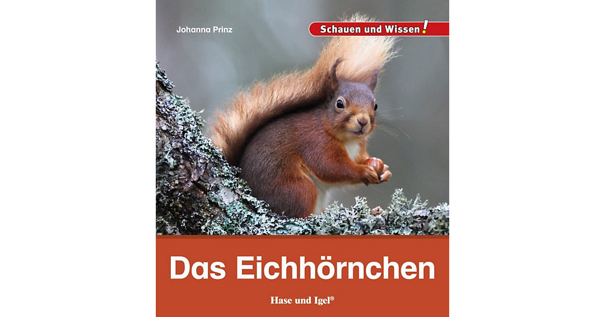 Buch - Das Eichhörnchen Buch - Das Eichhörnchen von Hase und Igel Verlag