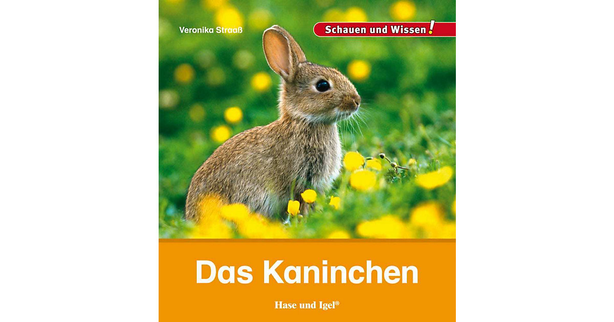 Buch - Das Kaninchen Buch - Das Kaninchen von Hase und Igel Verlag
