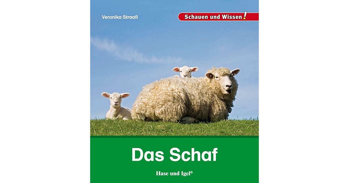 Buch - Das Schaf Buch - Das Schaf von Hase und Igel Verlag
