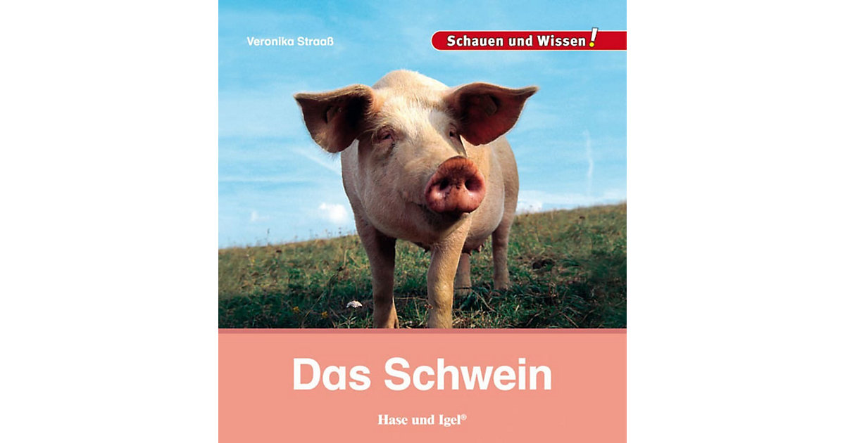 Buch - Das Schwein Buch - Das Schwein von Hase und Igel Verlag