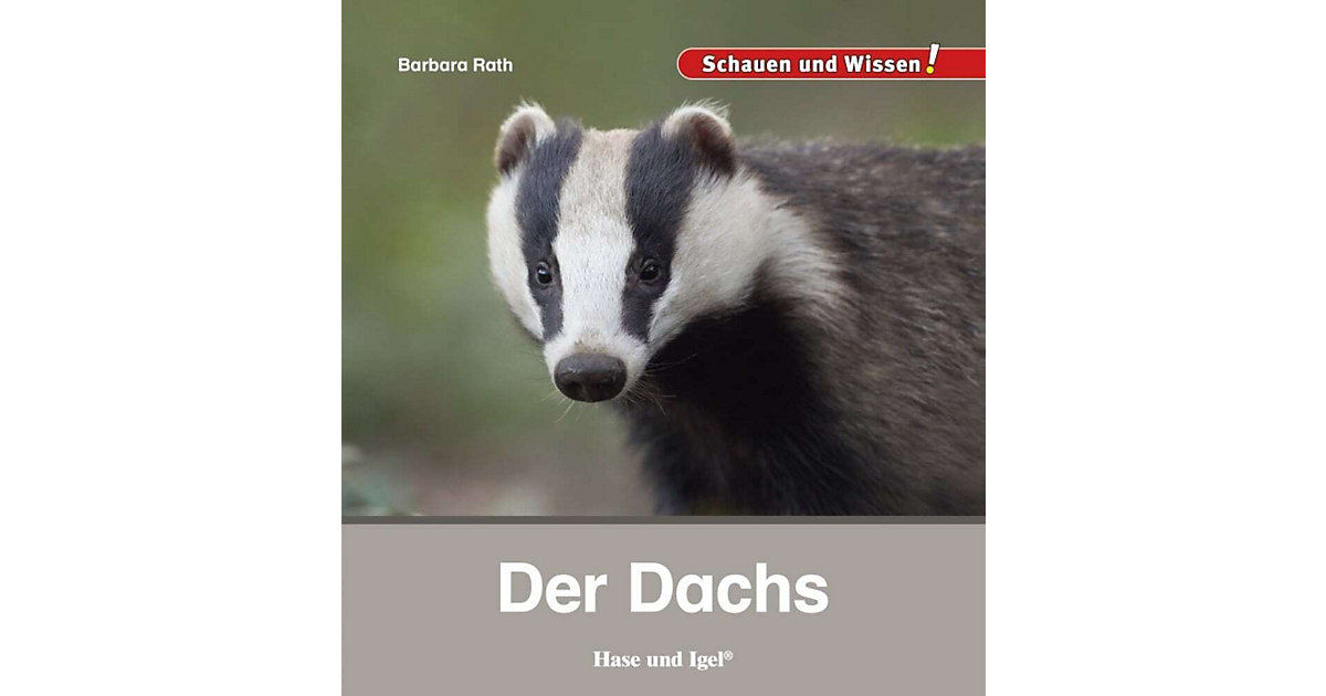 Buch - Der Dachs Buch - Der Dachs von Hase und Igel Verlag